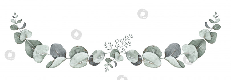 Скачать Акварельная декоративная композиция с эвкалиптом. Нежная рамка с листвой фотосток Ozero