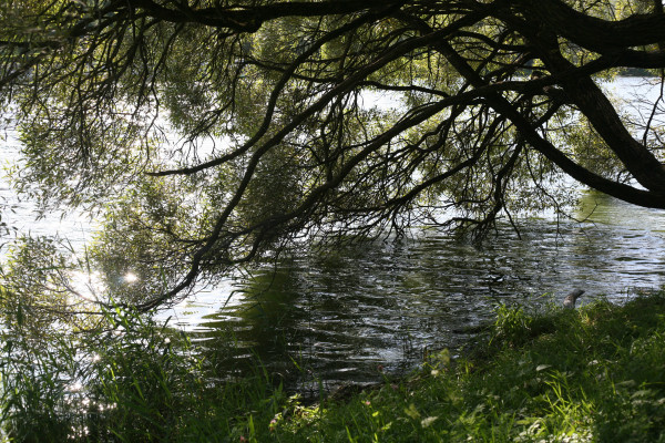 [object Object] undefined