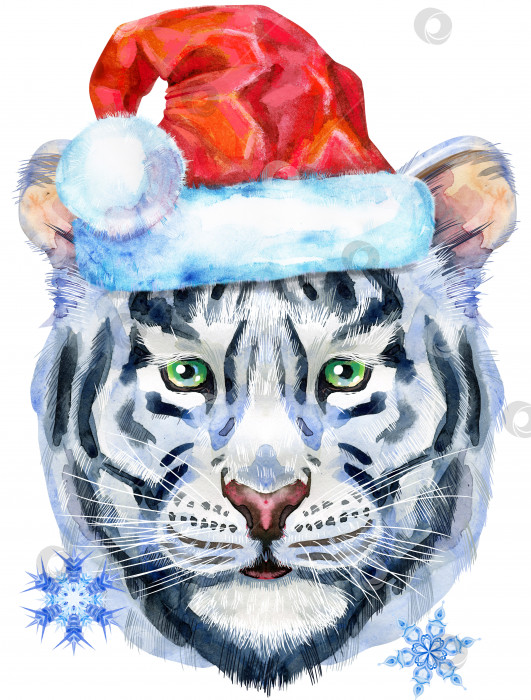Скачать Разноцветный белый тигр в шляпе Санты. Акварельная иллюстрация дикого животного на белом фоне фотосток Ozero