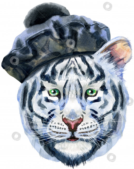 Скачать Яркий белый тигр в черном берете с помпоном. Акварельная иллюстрация дикого животного на белом фоне фотосток Ozero