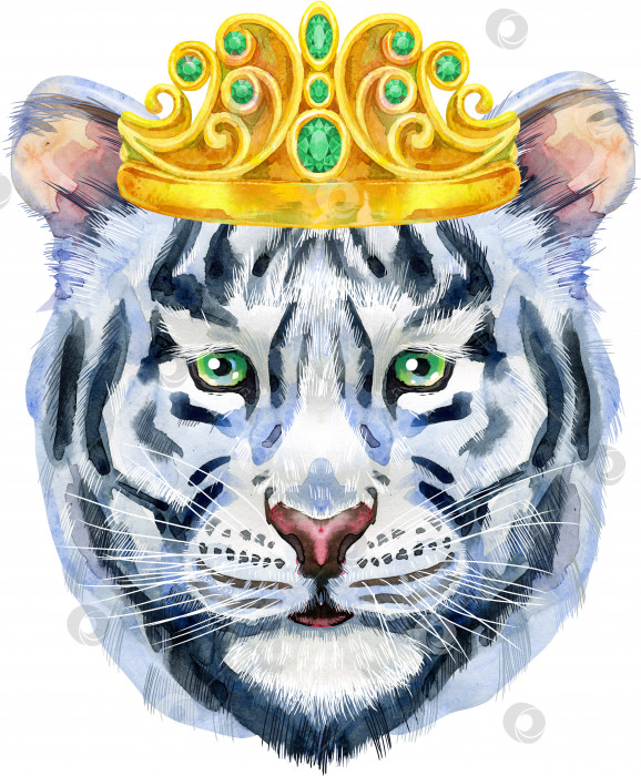 Скачать Разноцветный белый тигр в золотой короне. Акварельная иллюстрация дикого животного на белом фоне фотосток Ozero
