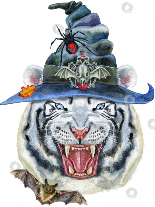 Скачать Нарисованный от руки тигр в ведьминой шляпе. Акварельный рисунок белой тигриной головы, голубых глаз фотосток Ozero
