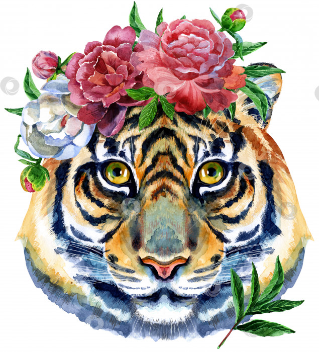 Скачать Акварельная иллюстрация персонажа тигриного гороскопа с цветами, выделенными на белом фоне. фотосток Ozero