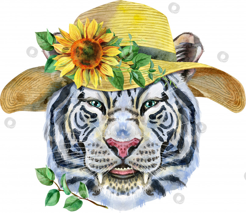 Скачать Разноцветный белый улыбающийся тигр в летней шляпе с подсолнухом. Акварельная иллюстрация дикого животного на белом фоне фотосток Ozero
