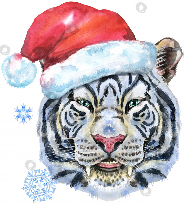 Скачать Разноцветный белый тигр в шляпе Санты. Акварельная иллюстрация дикого животного на белом фоне фотосток Ozero