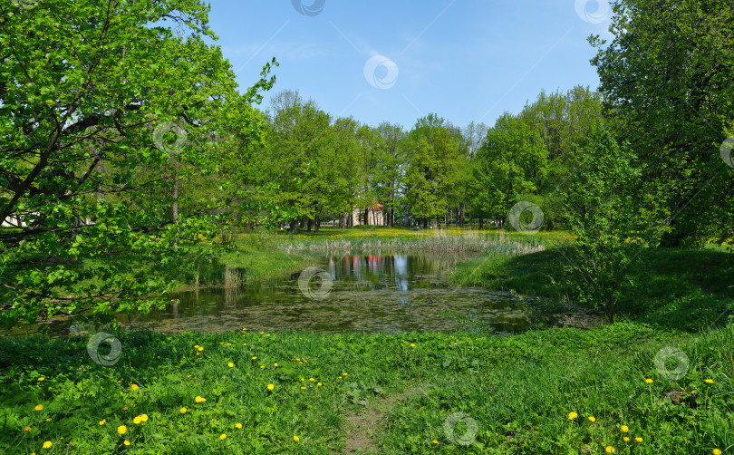 Скачать Дом экскурсовода в Орловском парке, страна: конец XIX века фотосток Ozero