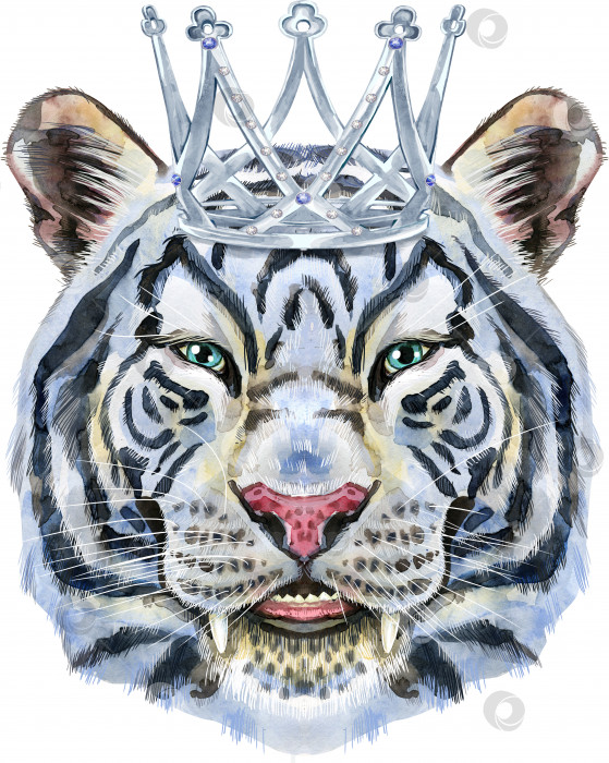 Скачать Разноцветный белый улыбающийся тигр с серебряной короной. Акварельная иллюстрация дикого животного на белом фоне фотосток Ozero