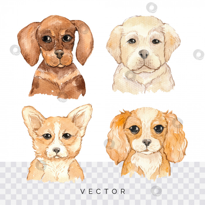 Скачать Акварельные портреты собак ручной росписи, изолированная иллюстрация фотосток Ozero