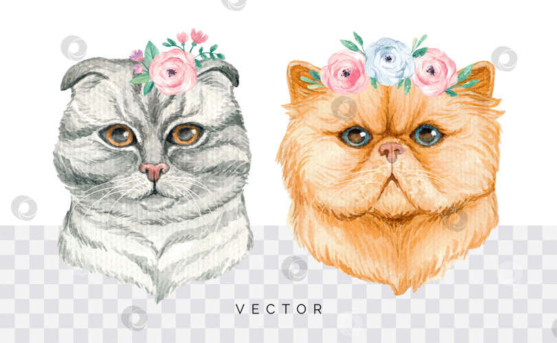 Скачать Нарисованный вручную акварелью портрет кошки с цветочным венком фотосток Ozero