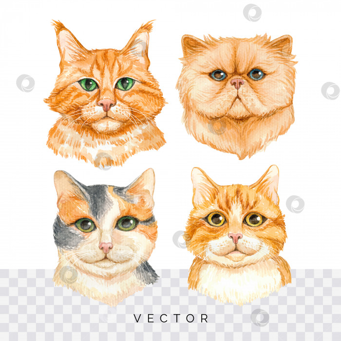 Скачать Набор акварельных портретов кошек ручной росписи фотосток Ozero