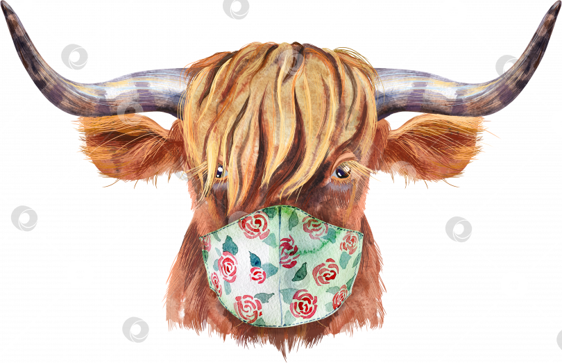 Скачать Акварельная иллюстрация коричневого длиннорогого быка в защитной маске фотосток Ozero