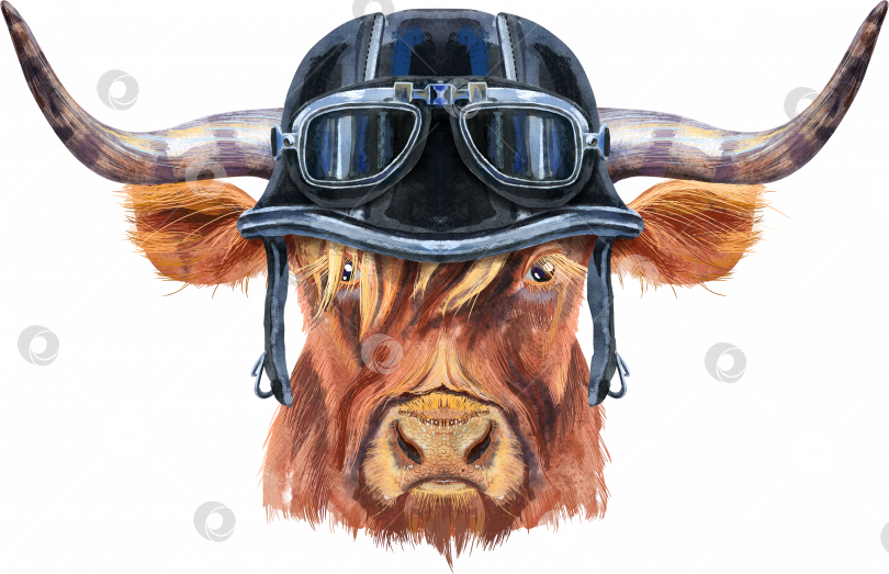 Скачать Акварельная иллюстрация коричневого длиннорогого быка в байкерском шлеме и очках фотосток Ozero