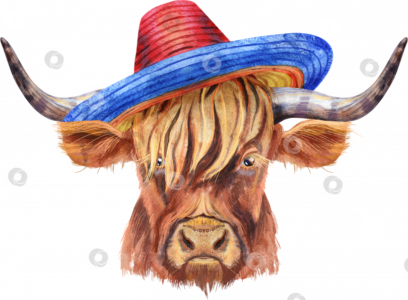 Скачать Акварельная иллюстрация коричневого длиннорогого быка в шляпе-сомбреро фотосток Ozero