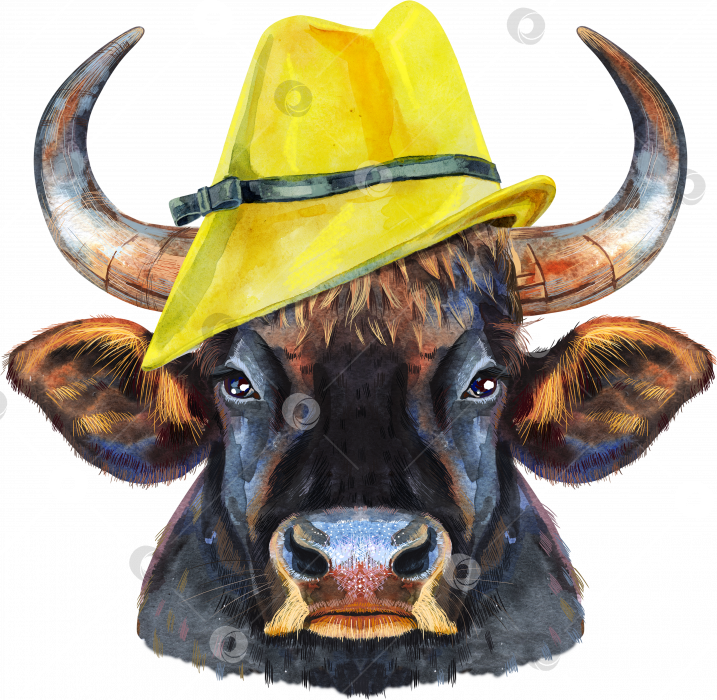 Скачать Акварельная иллюстрация черного могучего быка в желтой шляпе фотосток Ozero