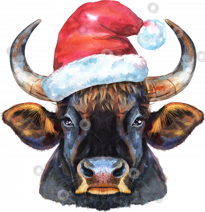 Скачать Акварельная иллюстрация черного могучего быка в шляпе Санты фотосток Ozero