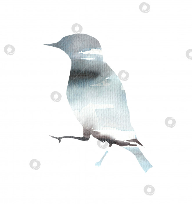 Скачать Стилизованная акварельная иллюстрация с изображением птицы фотосток Ozero