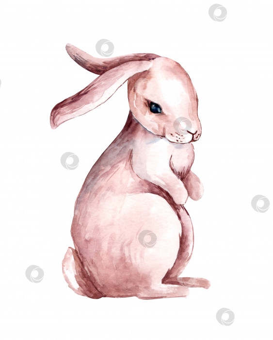 Скачать Акварельная иллюстрация с пасхальным кроликом. Изолированный на белом фоне фотосток Ozero