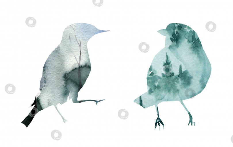 Скачать Стилизованная акварельная иллюстрация с изображением птицы фотосток Ozero