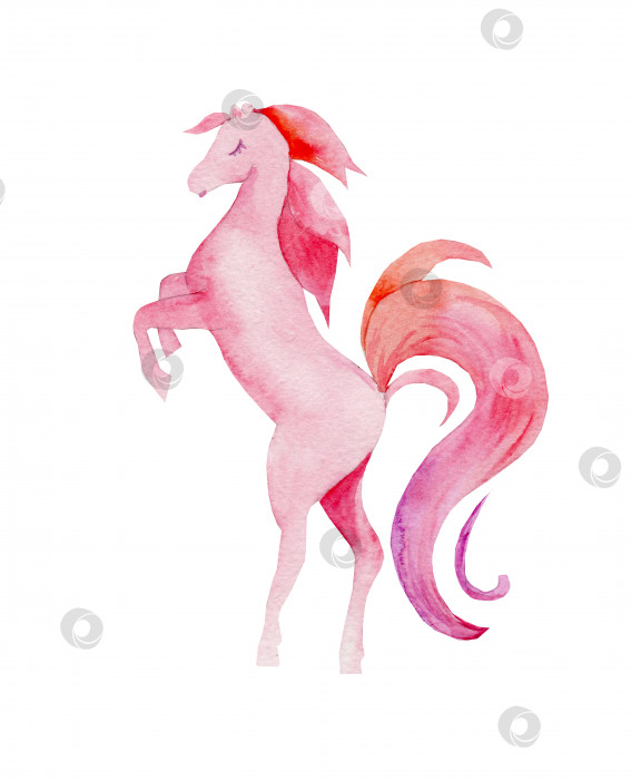 Скачать Акварельная иллюстрация розовой лошади фотосток Ozero