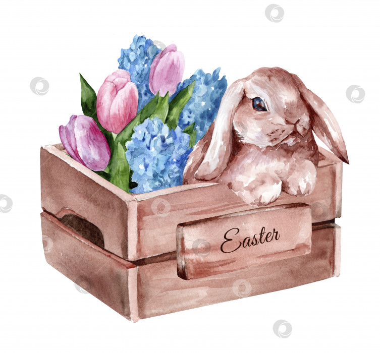 Скачать Деревянная коробка с нежными розовыми тюльпанами и милым кроликом. Пасхальная весенняя акварельная иллюстрация, нарисованная от руки фотосток Ozero