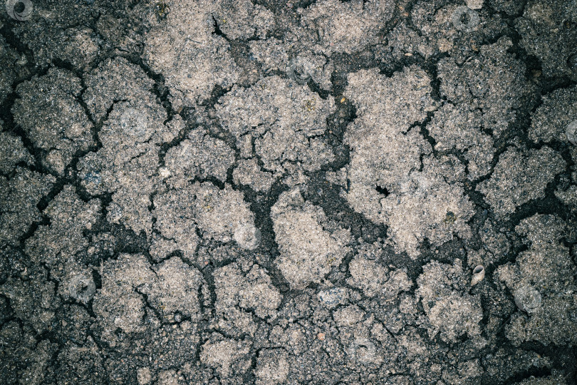 Скачать Естественный абстрактный фон из высушенного торфа. Серая текстура почвы с трещинами. Концепция изменения климата, эффект глобального потепления фотосток Ozero