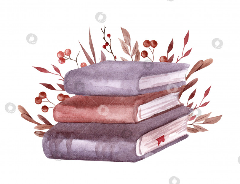 Скачать Стопка книг с осенним декором. Листья и ягоды. Акварельная иллюстрация, нарисованная от руки, изолированная на белом фоне фотосток Ozero