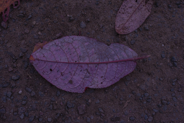 [object Object] undefined
