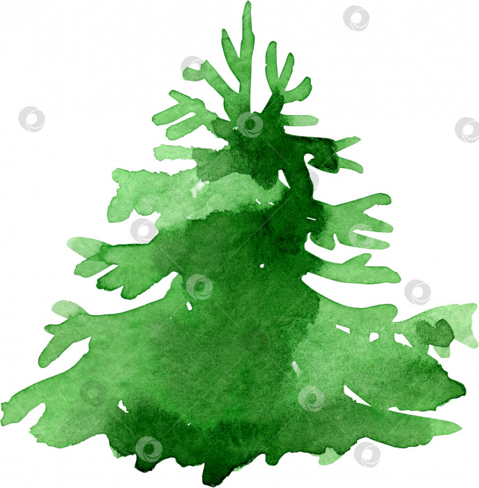 Скачать Акварельная рождественская елка, изолированная на белом фоне фотосток Ozero