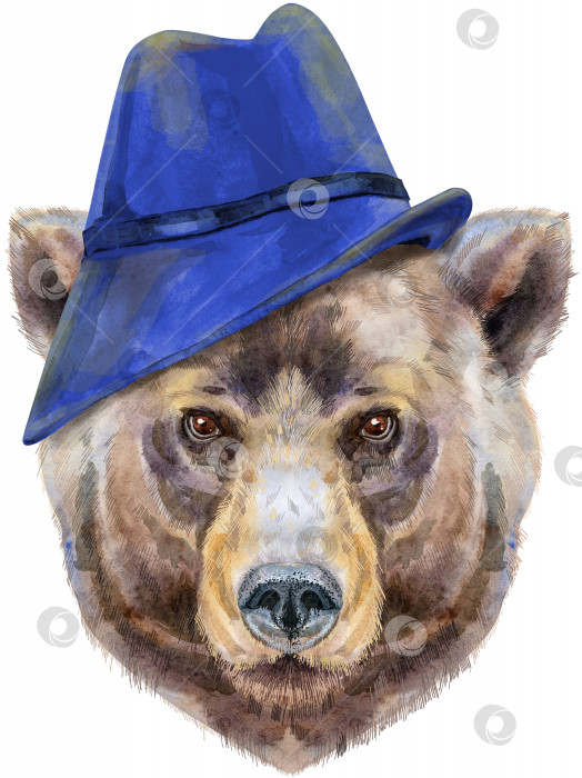 Скачать Медвежья голова в синей шляпе. Иллюстрация акварельной картины медведя, изолированная на белом фоне фотосток Ozero