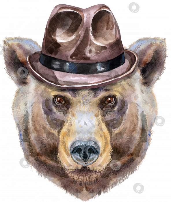 Скачать Медвежья голова в коричневой шляпе. Иллюстрация акварельной картины медведя изолирована фотосток Ozero