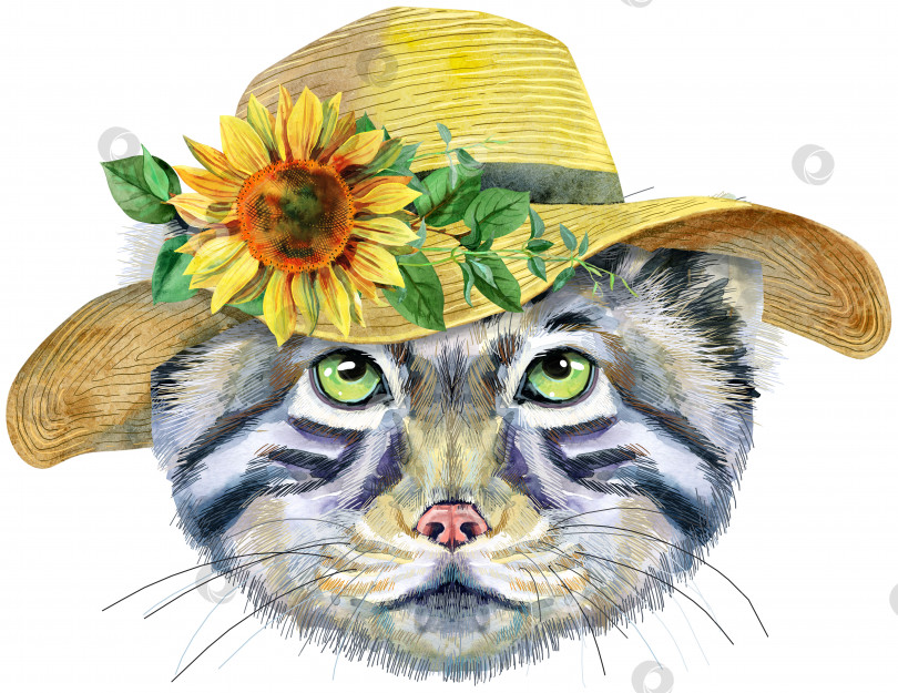 Скачать Акварельный портрет кота Манула в летней шляпе на белом фоне фотосток Ozero