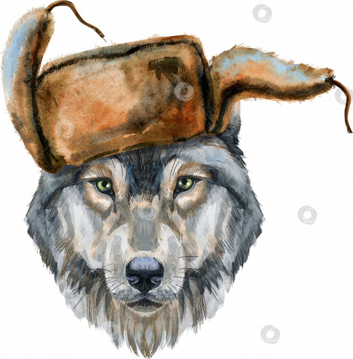 Скачать Волчья голова в шляпе. Акварельная иллюстрация к картине волка изолирована фотосток Ozero