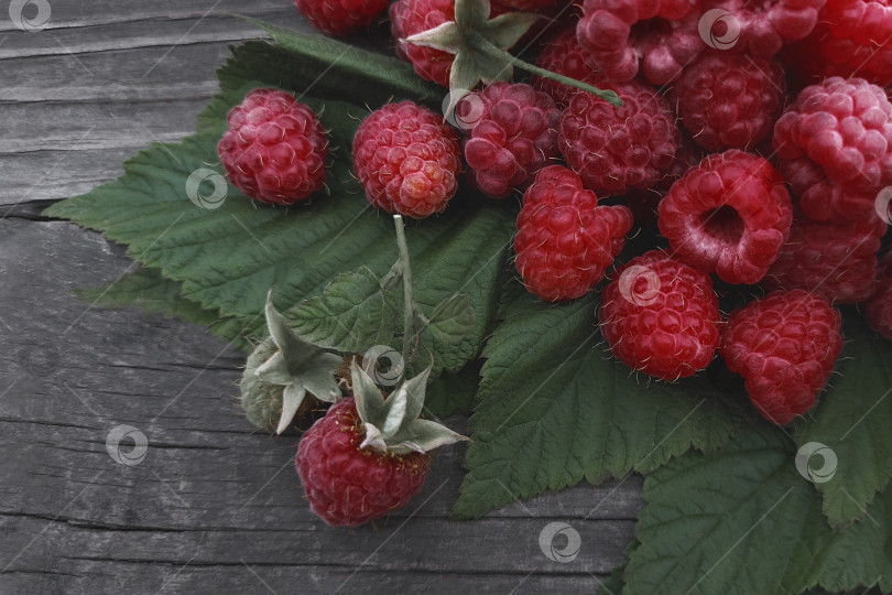 Скачать Красные ягоды годы малины на деревянном фоне фотосток Ozero