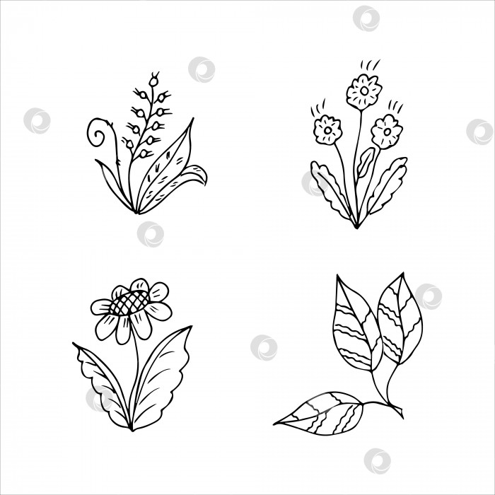 Скачать набор нарисованных от руки растительных элементов doodle для концепции цветочного дизайна фотосток Ozero