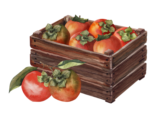 [object Object] undefined