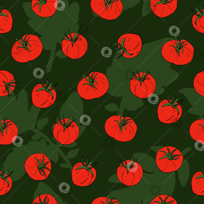 Скачать Бесшовный узор с помидорами и листьями на зеленом фоне. Вектор. Иллюстрация фотосток Ozero