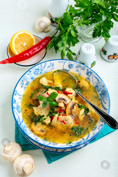 Скачать Острый куриный суп с грибами. фотосток Ozero