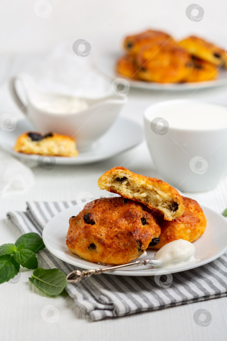 Скачать Домашние сырники с изюмом. фотосток Ozero