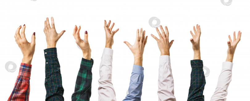 Скачать Множество разных поднятых вверх рук, изолированных на белом фоне фотосток Ozero