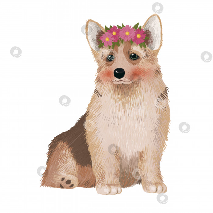 Скачать Симпатичная иллюстрация с изображением собаки породы Вельш-корги с венком из розовых цветов на голове фотосток Ozero