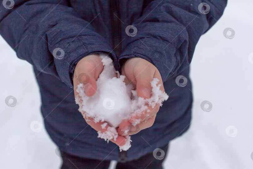 Скачать Держа в руке натуральный мягкий белый снег, на открытом воздухе. Зимний день и снег в руке. Солнечные блики отражаются в снегу. Рука держит холодный снег. Проводить время на свежем воздухе зимой фотосток Ozero