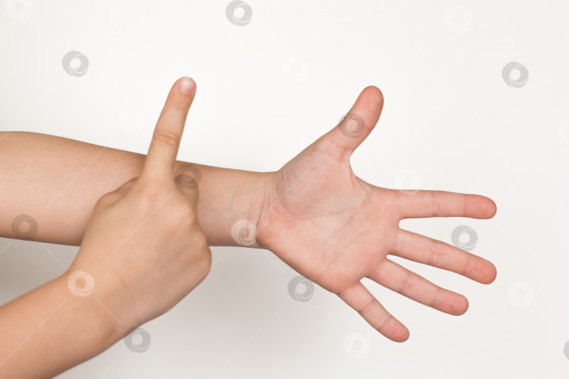 Скачать Пустые руки, показывающие жест, держащий бургер, сэндвич или какую-либо другую еду, выделенную на белом фоне фотосток Ozero
