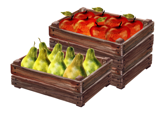 [object Object] undefined
