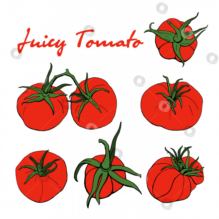 Скачать Набор красных помидоров, выделенных на белом фоне. Векторная иллюстрация фотосток Ozero