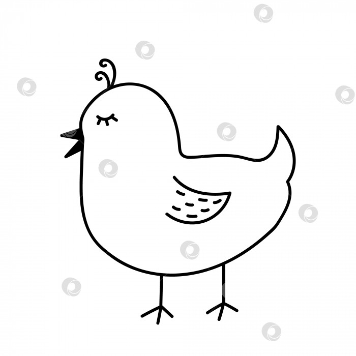 Скачать Симпатичный мультяшный цыпленок в стиле каракулей фотосток Ozero
