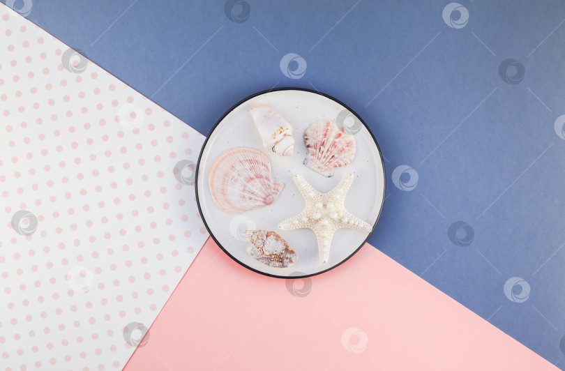 Скачать Тарелка с морскими ракушками на фоне цветной бумаги фотосток Ozero