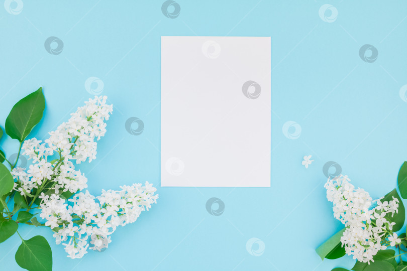 Скачать Макет пустой рамки с белыми цветами фотосток Ozero