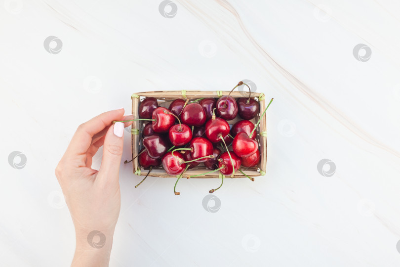 Скачать Свежая спелая вишня в маленькой плетеной корзинке фотосток Ozero