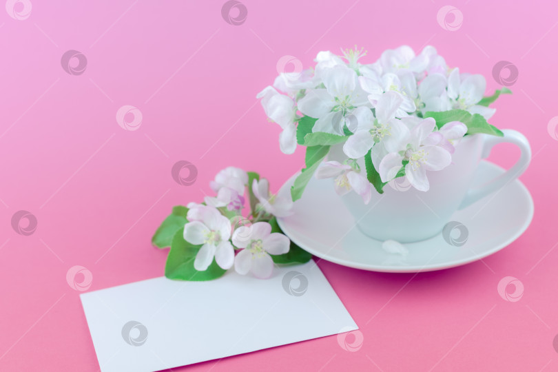 Скачать Белая весенняя яблоня, распускающая цветы в чашечке фотосток Ozero