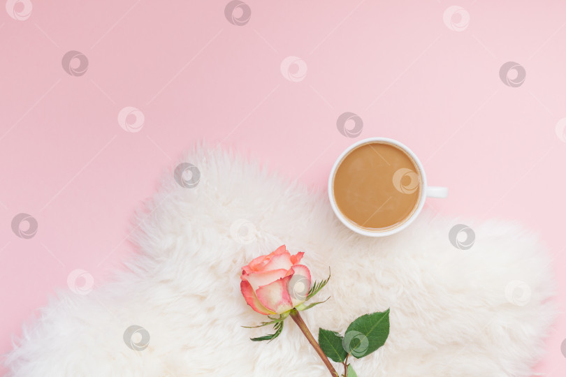 Скачать Чашка кофе и цветок розы на розовом фоне фотосток Ozero